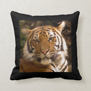 Tiger-Wurfs-Kissen Kissen
