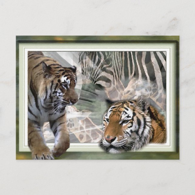 Tiger, Zebra, Giraffe, Liebesgeschenke Postkarte (Vorderseite)