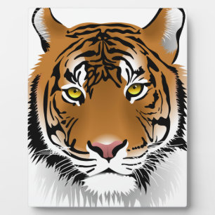 Tigeraugen Fotoplatte