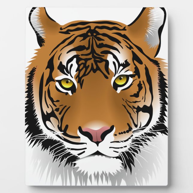 Tigeraugen Fotoplatte (Vorderseite)