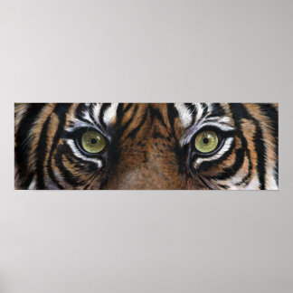 Tigeraugen Poster