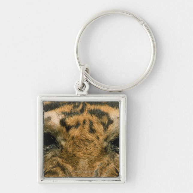 Tigeraugen Schlüsselanhänger (Vorne)