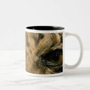 Tigeraugen Zweifarbige Tasse