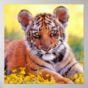 Tigerbaby Poster