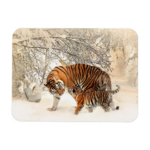 Tigerfamilie Magnet