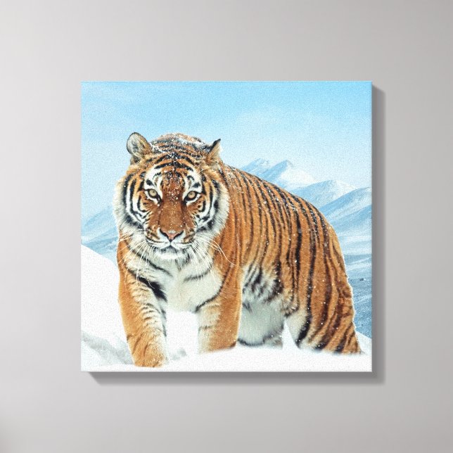 Tigergebirge Winterschnee Natur Foto Leinwand (Vorderseite)