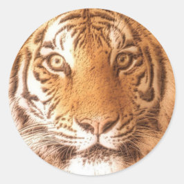 Tigergesicht - Aufkleber