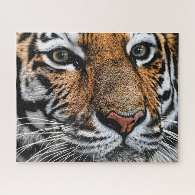 Tigergesicht, Jigsaw Puzzle (Horizontal)