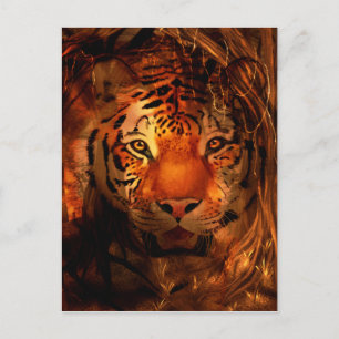 Tigergesicht Postkarte