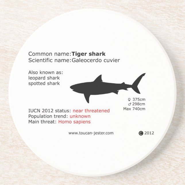 Tigerhai-Untersetzer Untersetzer (Vorne)