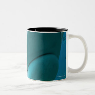 Tigerhaifisch (der Galeocerdo cuvier) Haifisch Zweifarbige Tasse