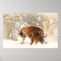 Tigerjunge und Mutter in Schneepulver