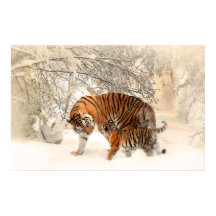 Tigerjunge und Mutter in Schneepulver