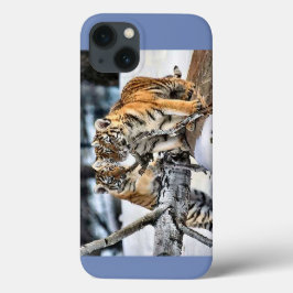 Tigerjungen iPhone 13 Hülle