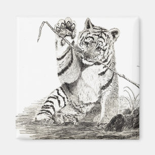 Tigerjunges, das Magneten spielt Magnet