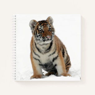 Tigerjunges im Schnee Fotografie Notizbuch