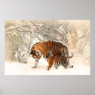 Tigerjunges und -mutter im Schneeplakat Poster
