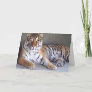 Tigerkarte Karte