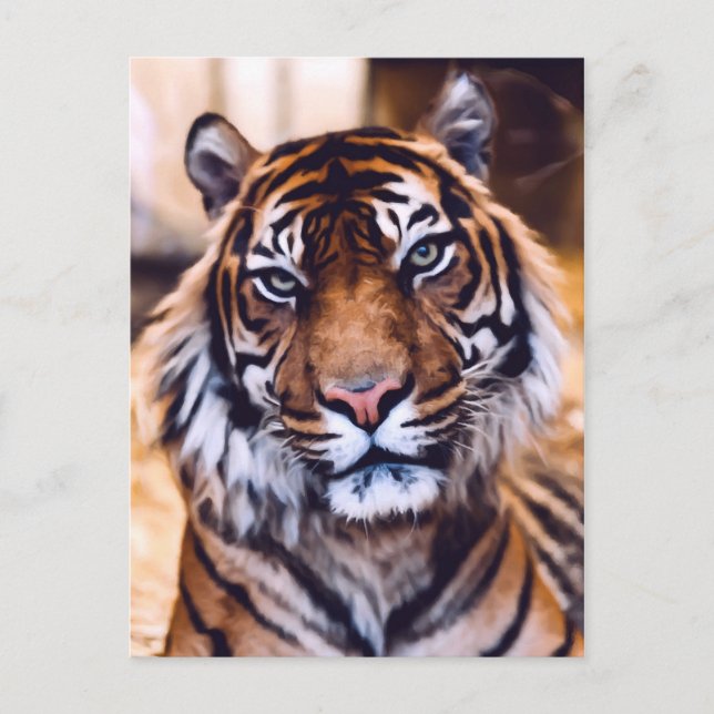 Tigerkatze Nah aufgewachsene Tierwelt Postkarte (Vorderseite)