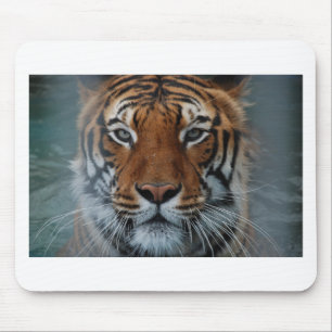 Tigerkatzen-Streifen Dschungelnebel Tier Mousepad