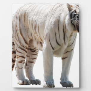 Tigerkatzenstreifen personalisieren DIY-Jubiläen Fotoplatte