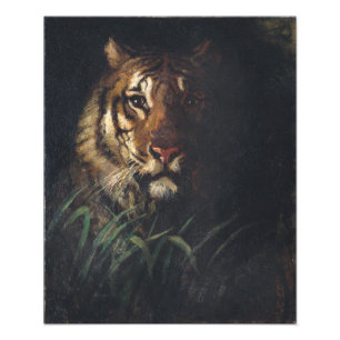 Tigerkopf von Abbott Handerson Thayer Fotodruck