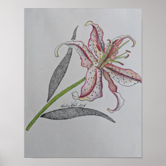 Tigerlilie, Wilde Lilie, Lily Blume, Orange Art Poster