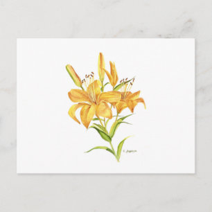 Tigerlily gelb-orange-Wasserfarbe botanisch Postkarte