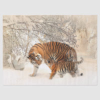 Tigermama und Baby-Tissue-Papier