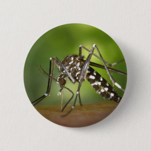 Tigermoskito Button