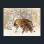 Tigermutter und Babypostkarte Postkarte<br><div class="desc">Tigermutter und Babypostkarte für jede Anlässe. Und vergessen Sie nicht, dass Sie Ihre Bestellung anpassen können.</div>