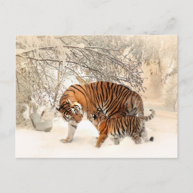 Tigermutter und Babypostkarte Postkarte (Vorderseite)