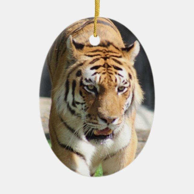 Tigerornament Keramik Ornament (Vorne)