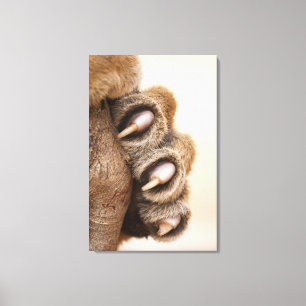 Tigerpfanne Leinwanddruck