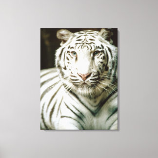 Tigerportrait Leinwanddruck