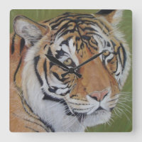 Tigerportrait