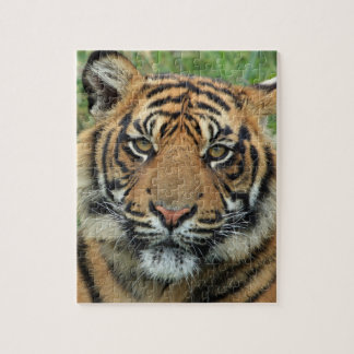 Tigerpuzzle Puzzle