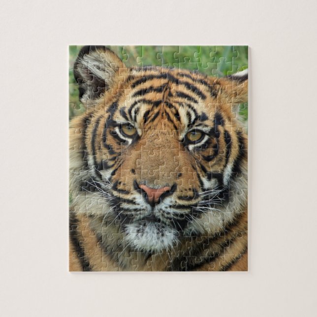 Tigerpuzzle Puzzle (Vertikal)