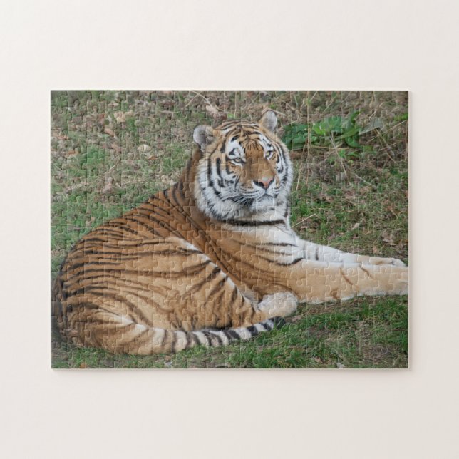 Tigerpuzzle Puzzle (Horizontal)