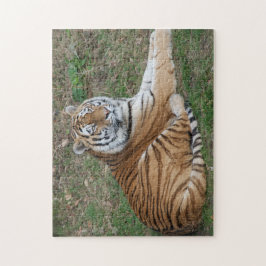 Tigerpuzzle Puzzle