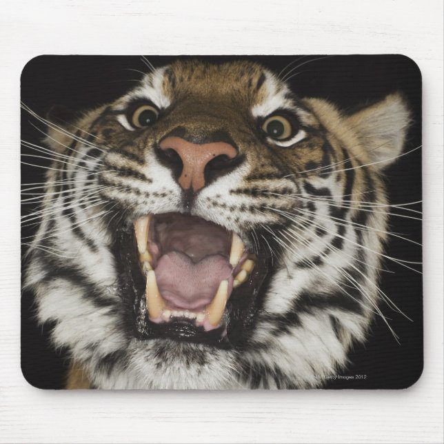 Tigerrost 2 mousepad (Vorne)