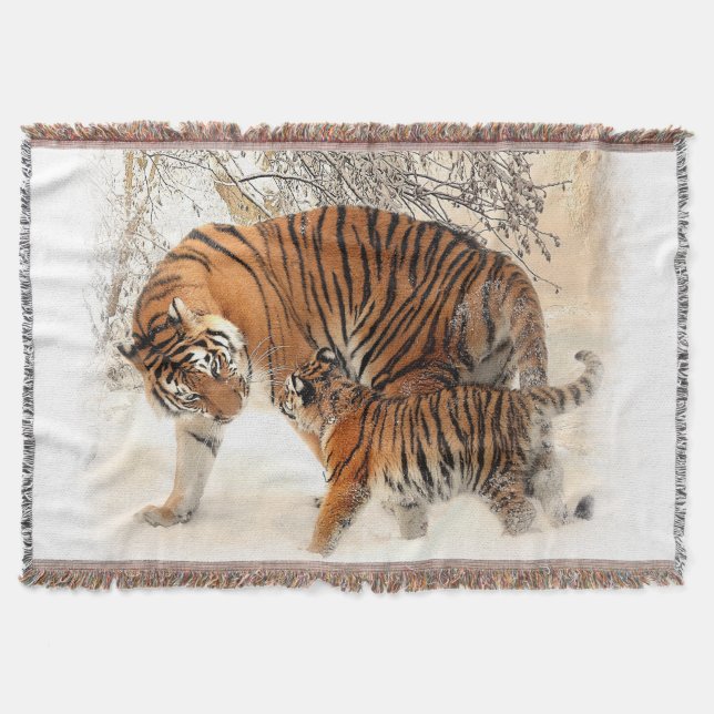Tigers 2A Schubdecke Decke (Vorderseite)