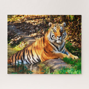 Tigers Big Cats. Puzzle