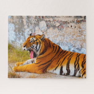 Tigers Big Cats. Puzzle