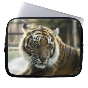 Tiger's Grace Laptopschutzhülle