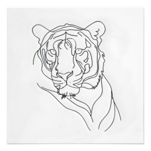 Tigers Hauptrolle Fotodruck