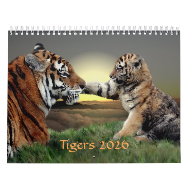 Tigers Kalender (Titelbild)
