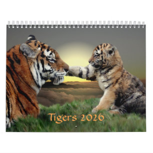 Tigers-Kalender 2025 Kalender