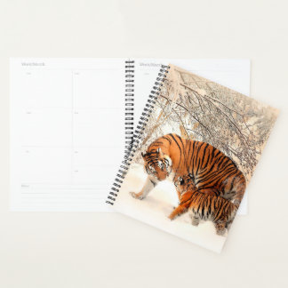 Tigers Planer