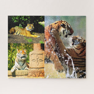 Tigers Puzzle